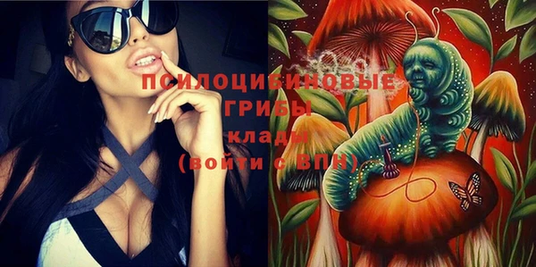 2c-b Верхний Тагил