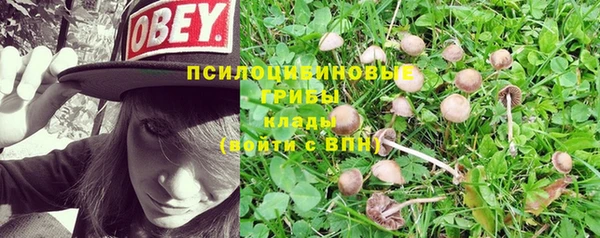 мескалин Верея