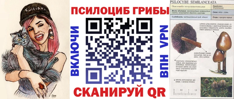 Галлюциногенные грибы Psilocybine cubensis  Купить закладки  Уяр 